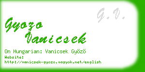 gyozo vanicsek business card